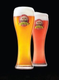 เบียร์สด ลาเกอร์ แก้ว0.5 L