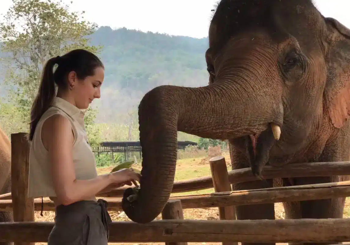 Why We Choose Ethical Elephant Sanctuaries